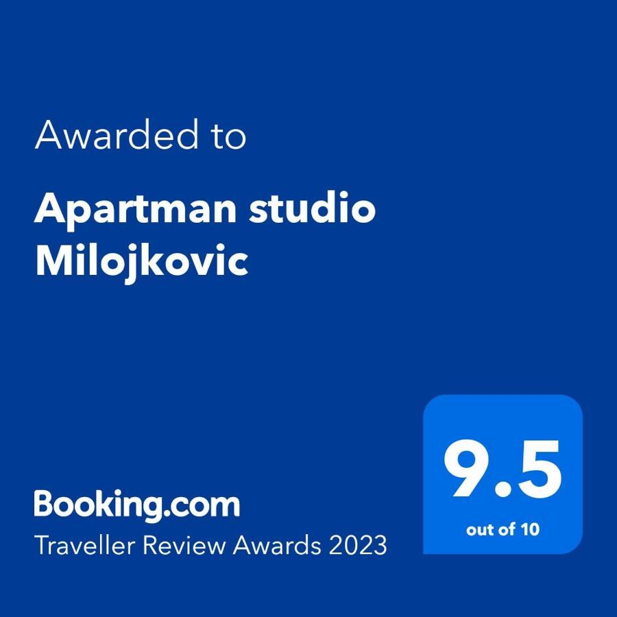 Apartman Studio Milojkovic Голубац Экстерьер фото